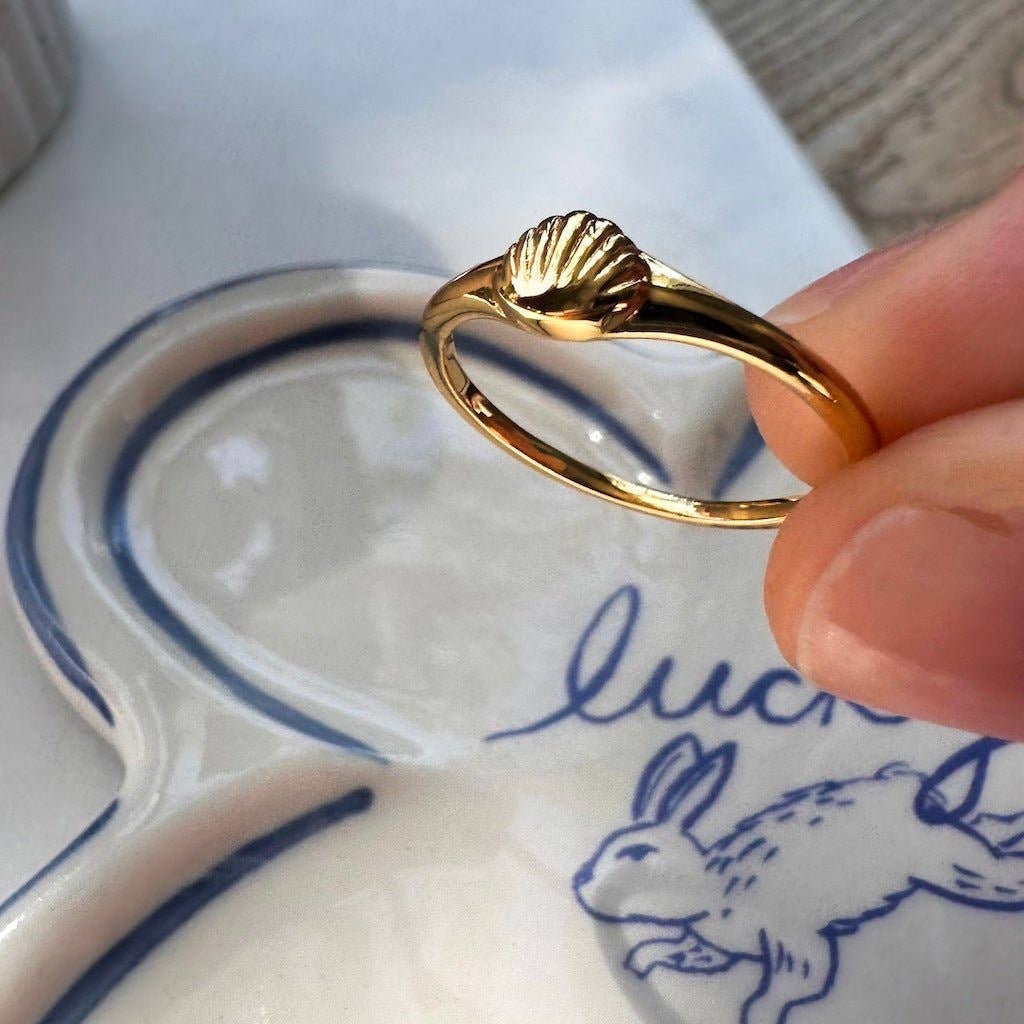 shell signet ring