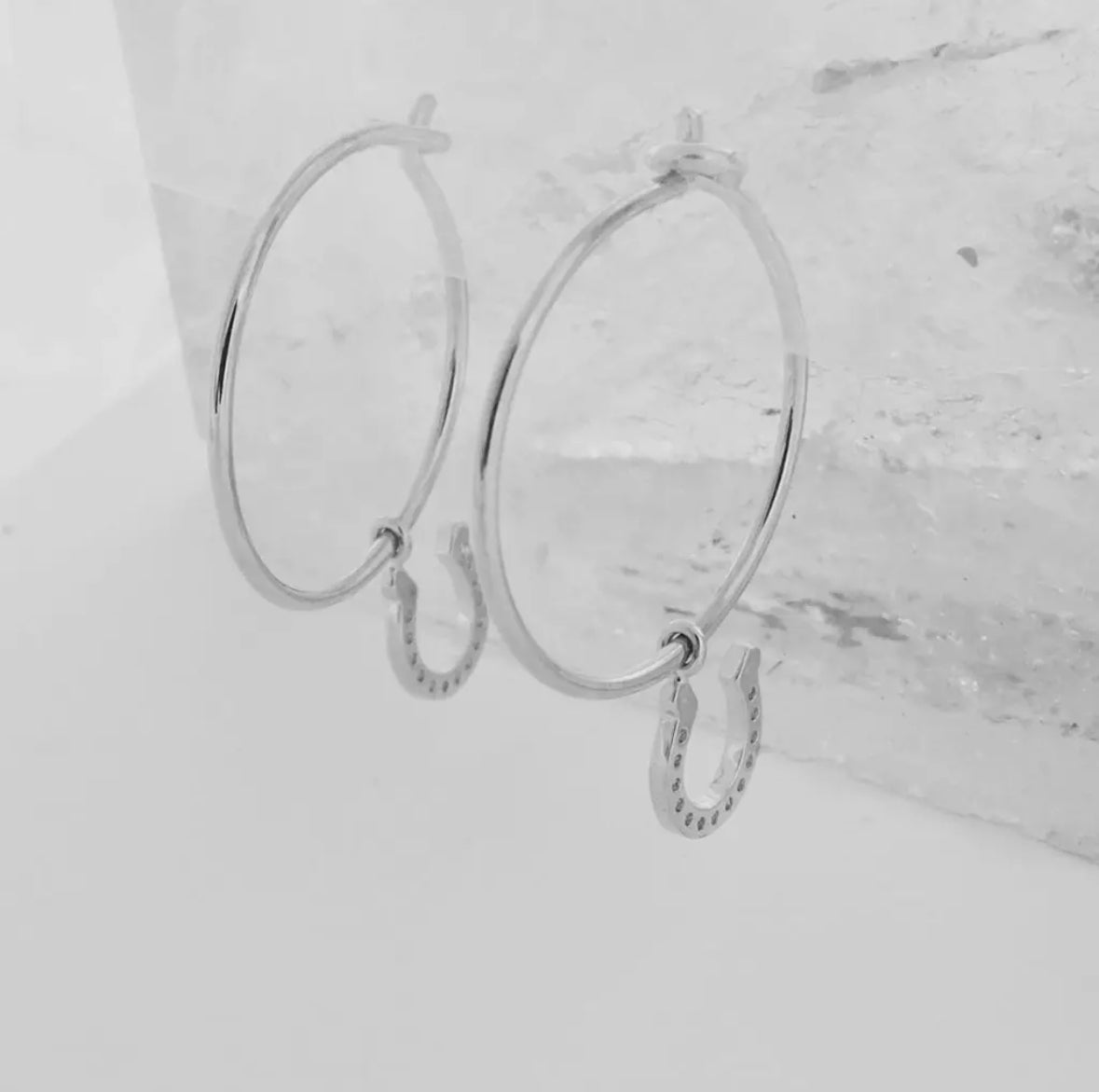 horseshoe hoops