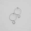 horseshoe hoops