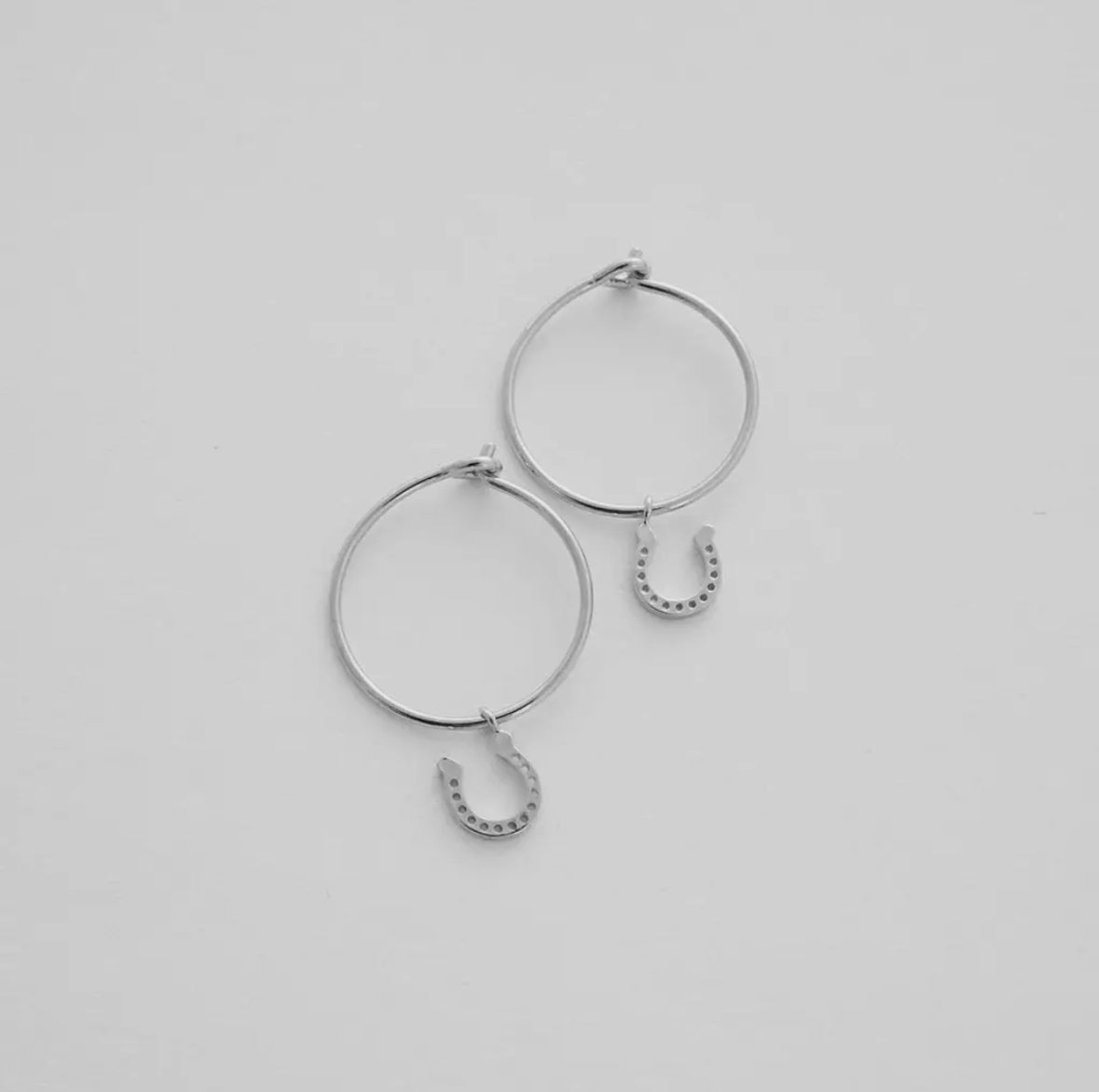 horseshoe hoops